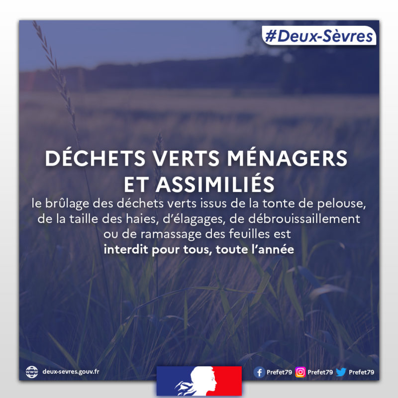 dechets-verts-menagers-et-assimilies-1