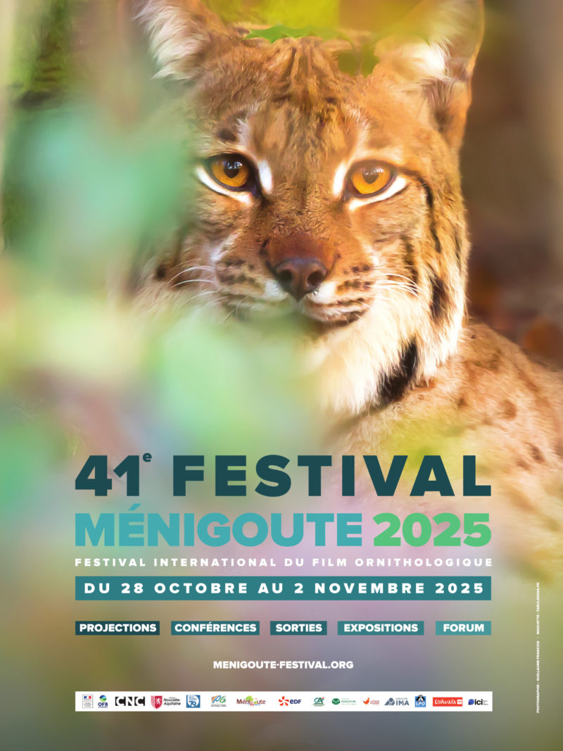 affiche_210-x-280-affiche-fifo-2025web-2