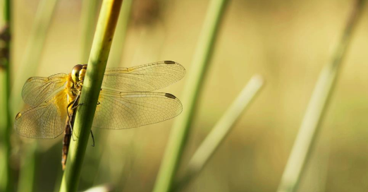 capture-decran-2026-02-20-135851